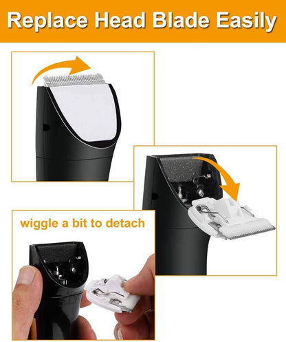 Cat Catnip, Catnip Toy for Cats, Catnip Teeth Cleaning Dental Cat Toy, Low Noise Dog Trimmer, Rechargeable Professional Cordless Razor for Dogs, Cats, Rabbit and Other Animals